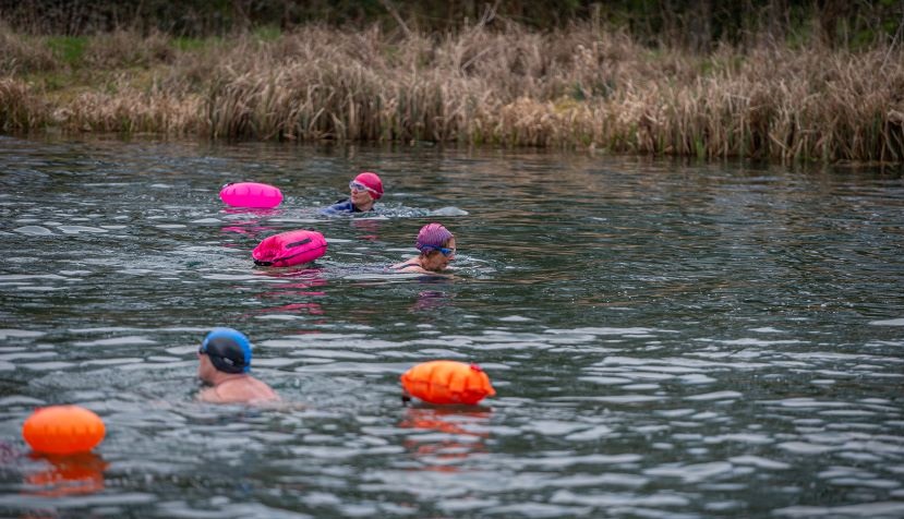 Andark Lake swimmers